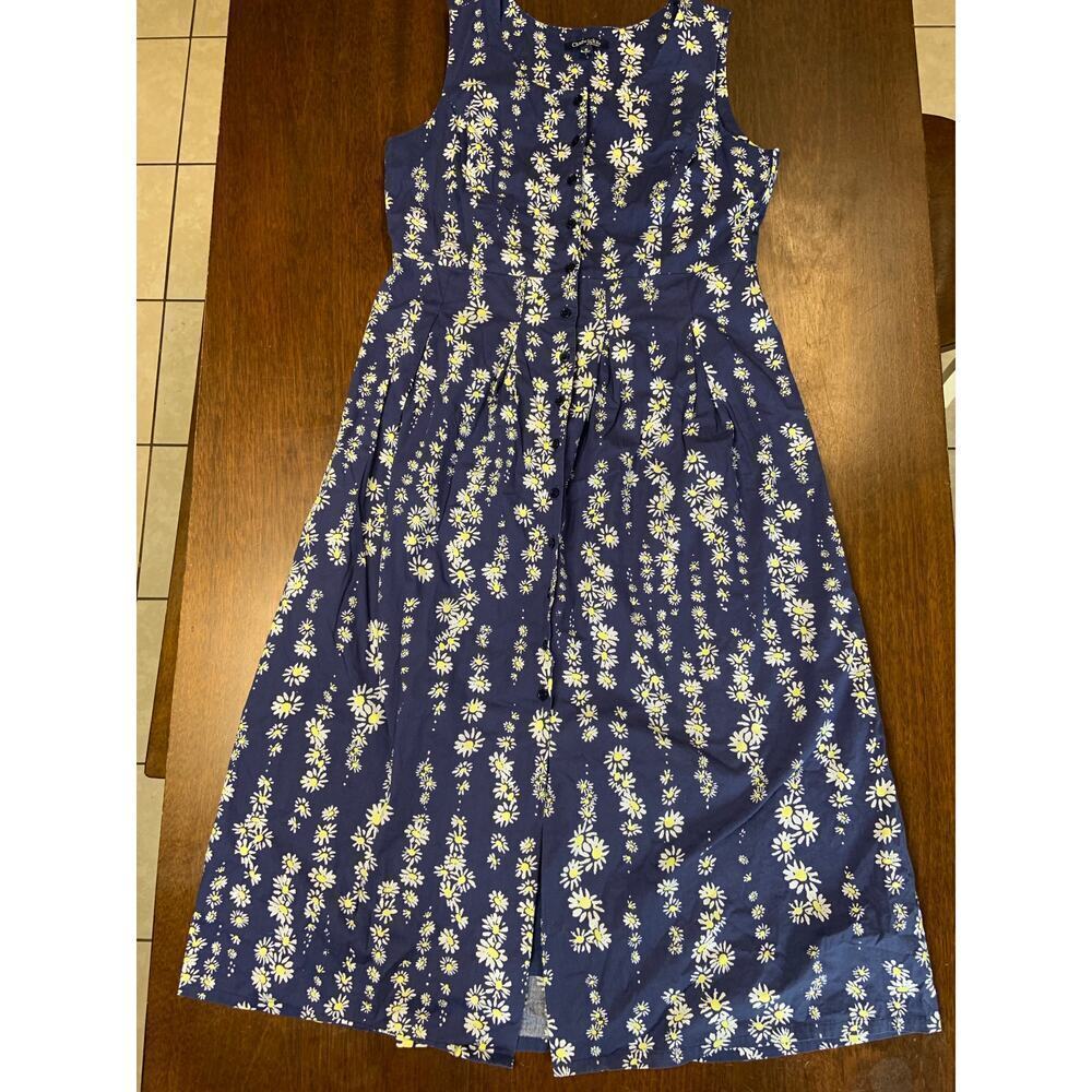 Chadwick Cottage Core Prairie Peasant Ms. Frizzle Dress Women 16 Floral Button